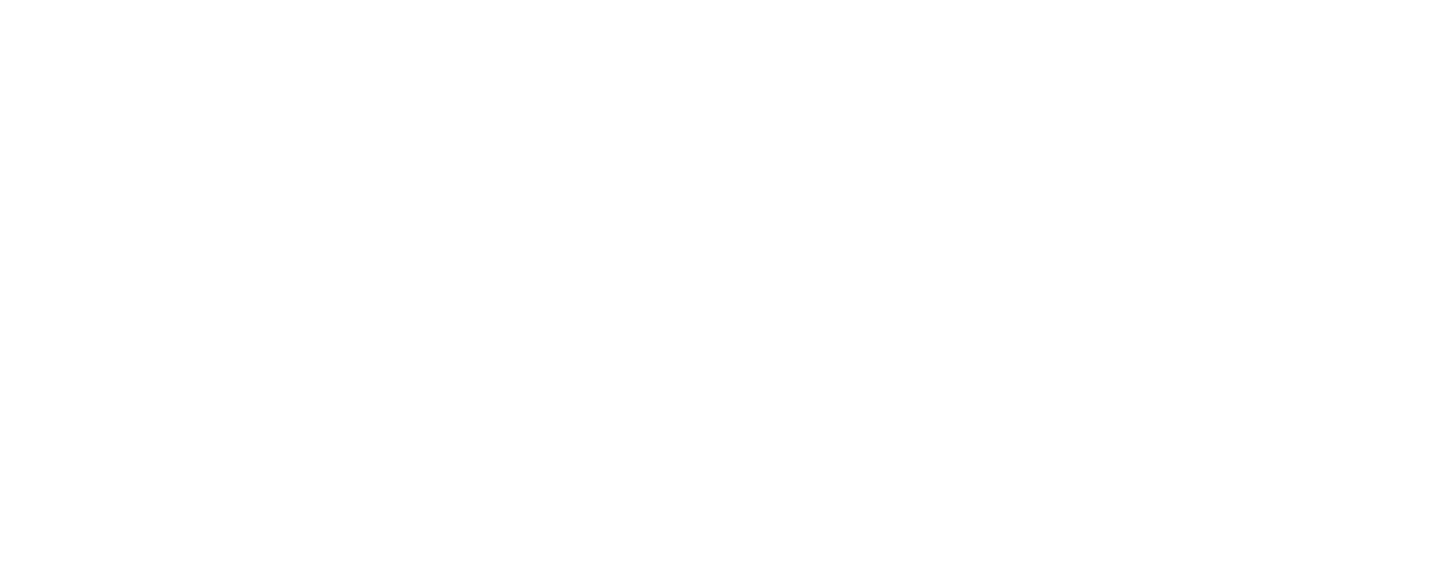 Rebel Marketing Co